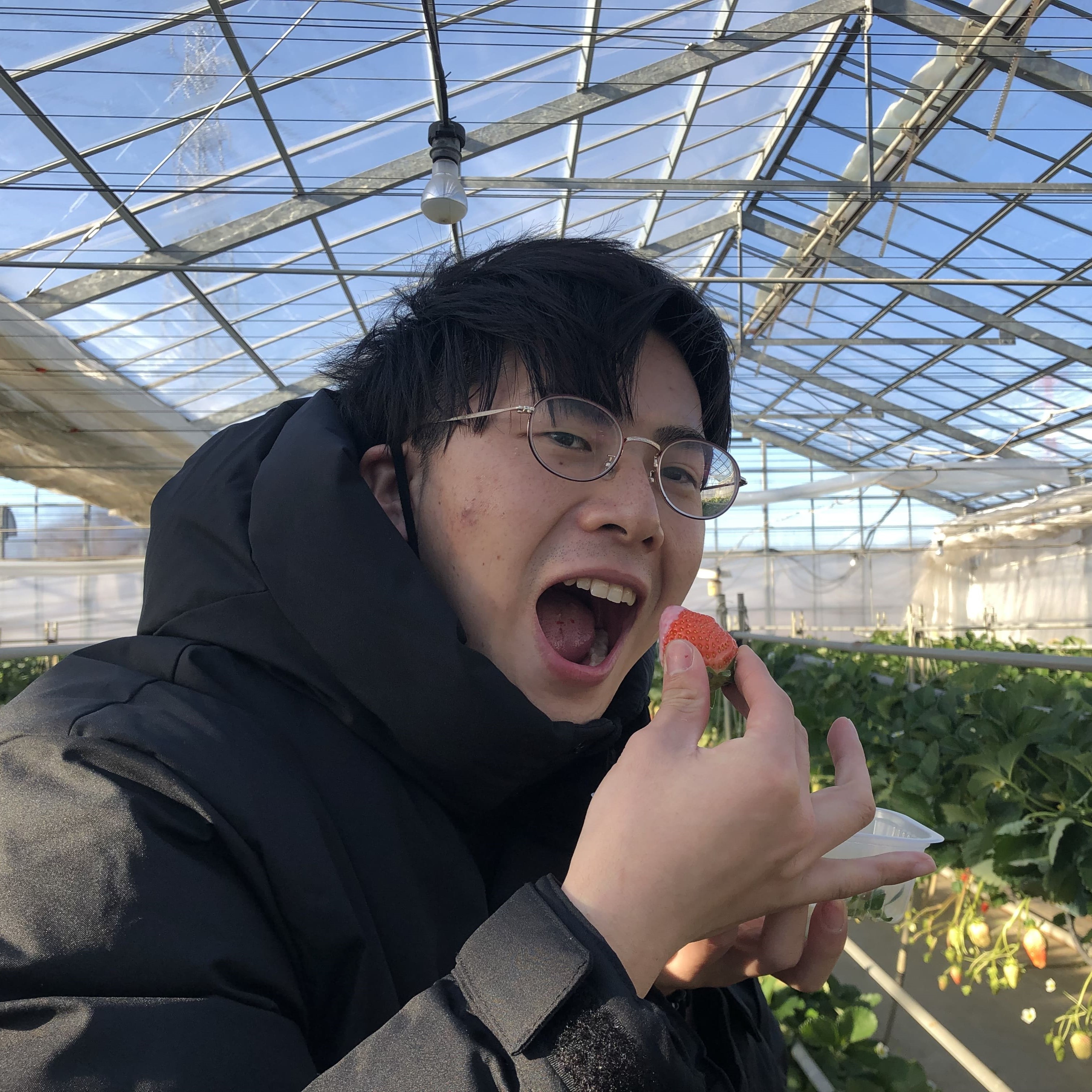 馬場真樹